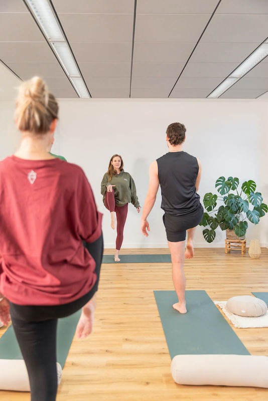 Yoga-mit-Anne-Move-and-Mind-Hamburg-Harburg Rückenaufnahme eines Yogateilnehmers und einer Yogateilnehmerin auf einem Bein stehend, Trainerin Anne macht die Übung vor